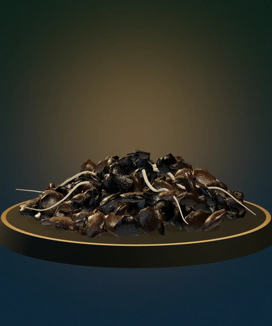 Conceptual render of a dark, soil-derived humic material