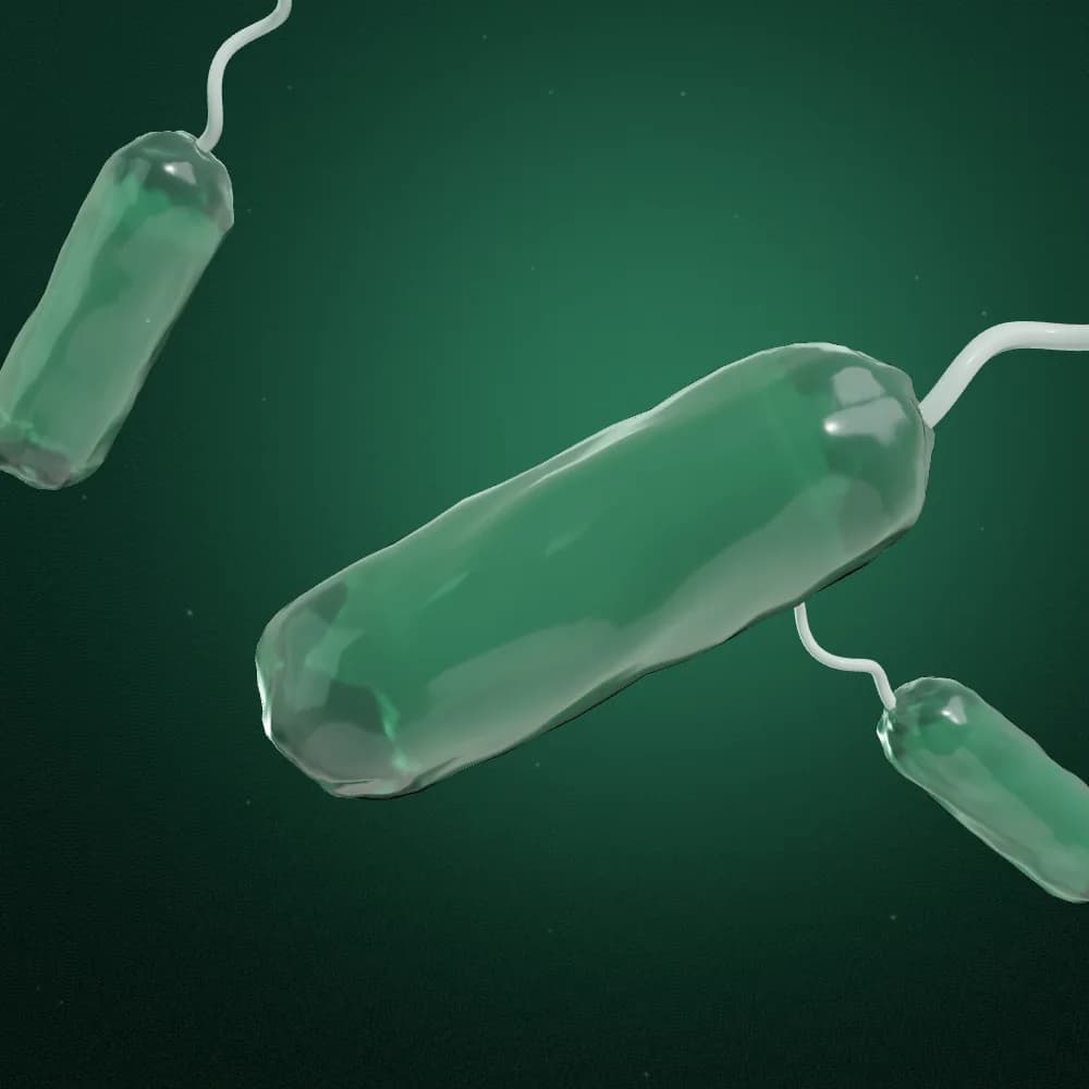 Illustrative visualization of bacterial cells