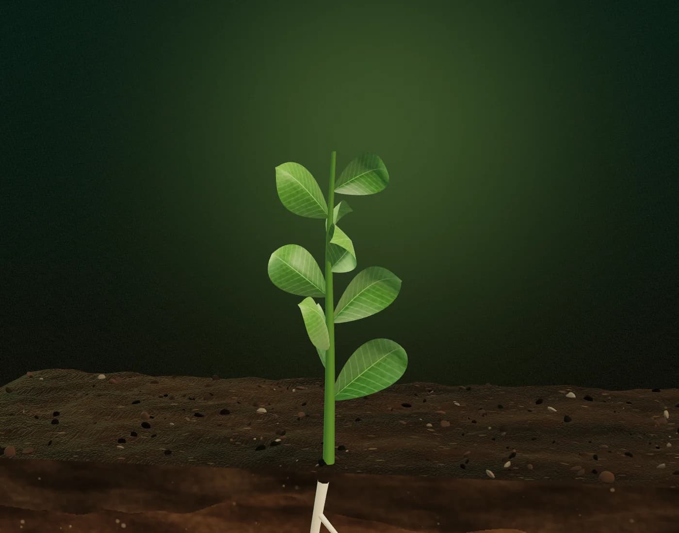 Illustrative render of a young crop plant's leaves