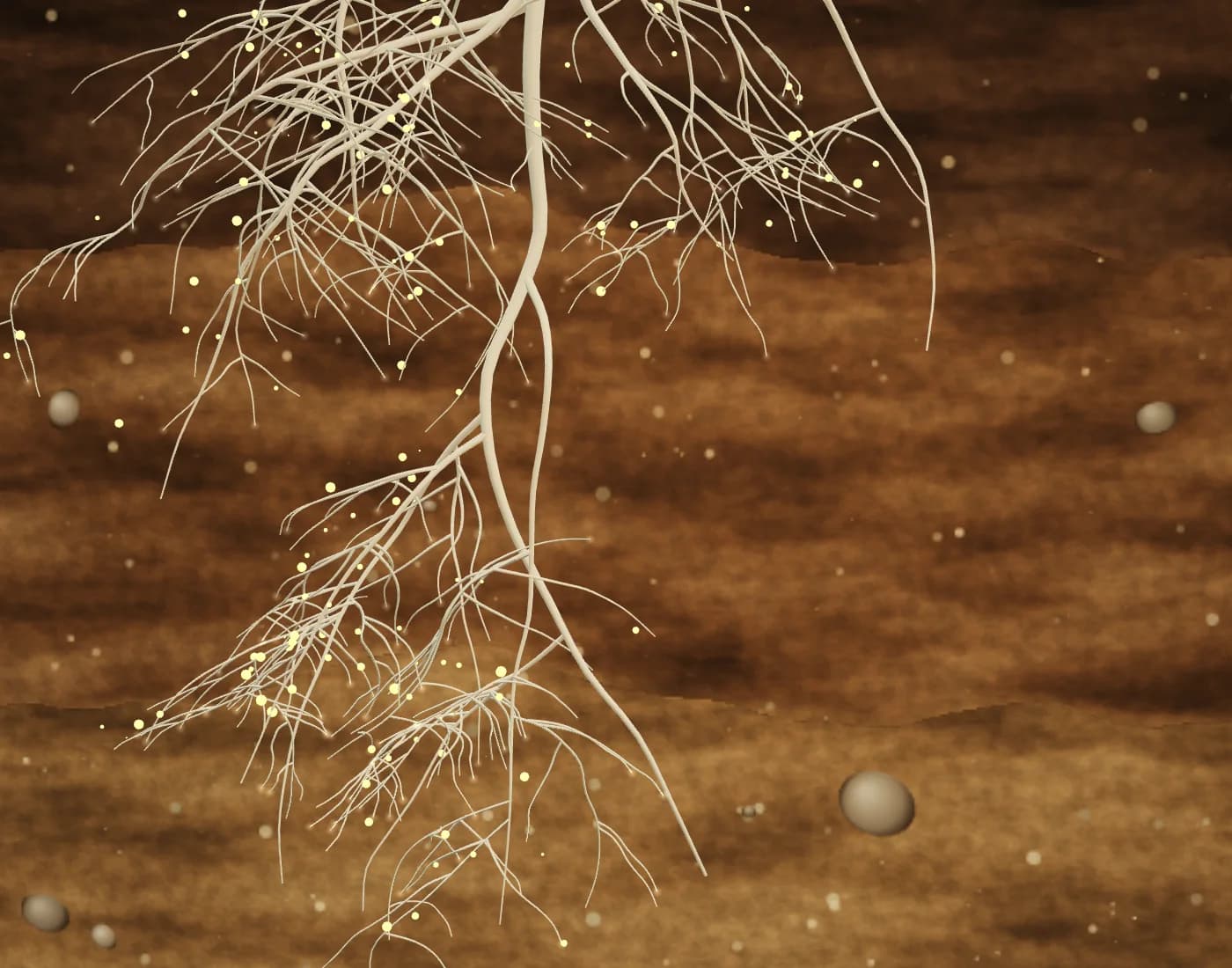 Illustrative render of a branching root system in soil