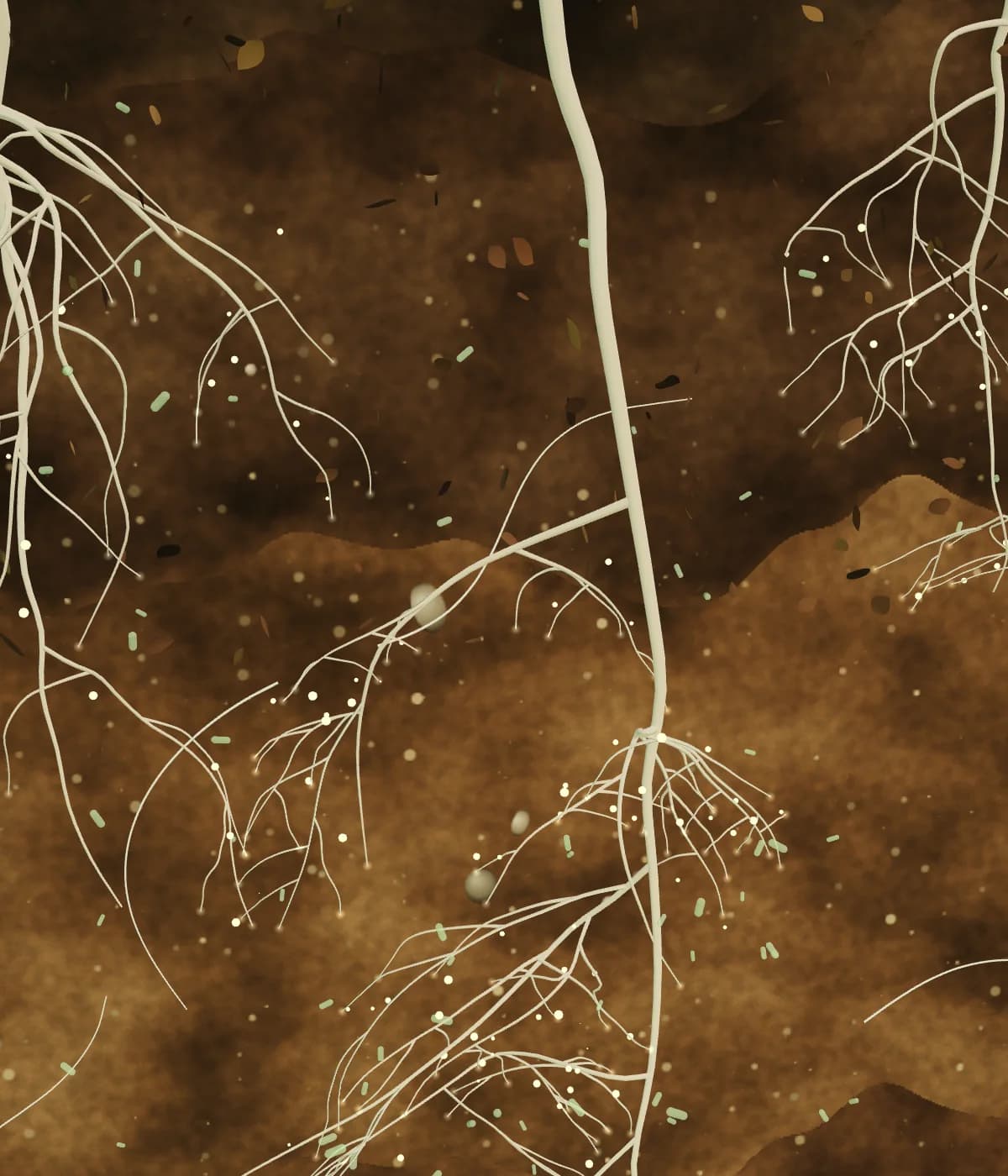 Illustrative cross-section of plant roots spreading through soil layers